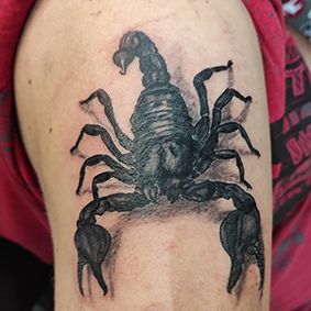 Scorpion